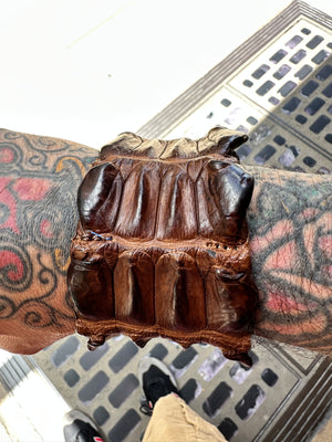 Alligator bracelet