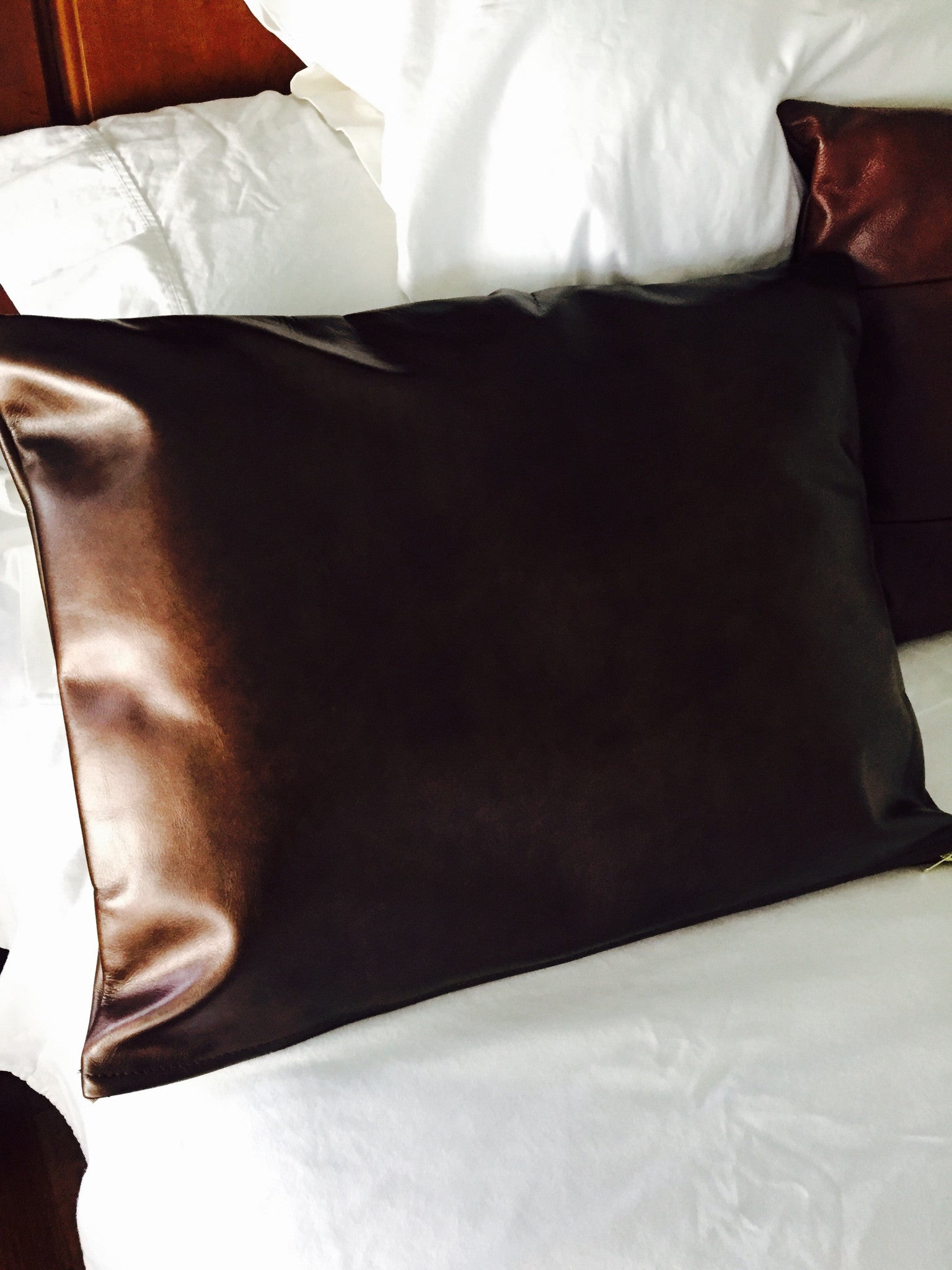 Leather pillows